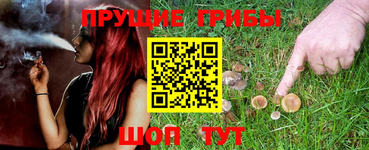 цены наркотик  Галлюциногенные грибы мухоморы  Вход с VPN  Псилоцибиновые грибы Magic Shrooms  Карталы 